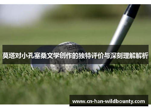 莫塔对小孔塞桑文学创作的独特评价与深刻理解解析