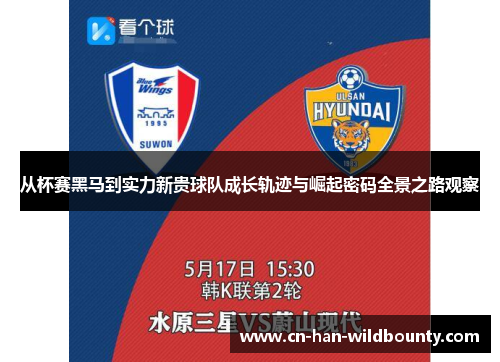 从杯赛黑马到实力新贵球队成长轨迹与崛起密码全景之路观察