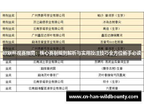 欧联杯观赛指南：核心赛制规则解析与实用投注技巧全方位新手必读