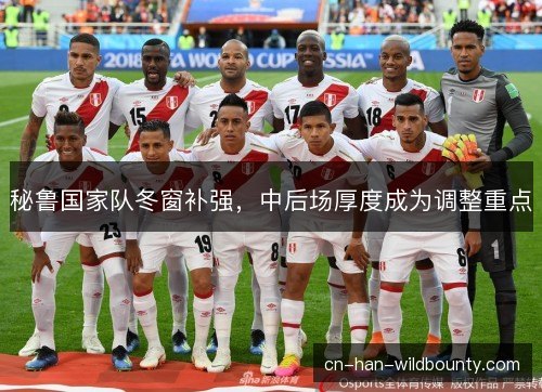 秘鲁国家队冬窗补强,中后场厚度成为调整重点 秘鲁国家队冬窗补强,中后场厚度成为调整重点